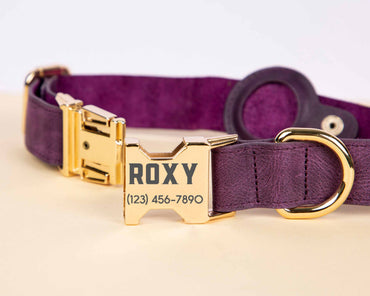 Scooby Leather Dog Collar With Air Tag Slot