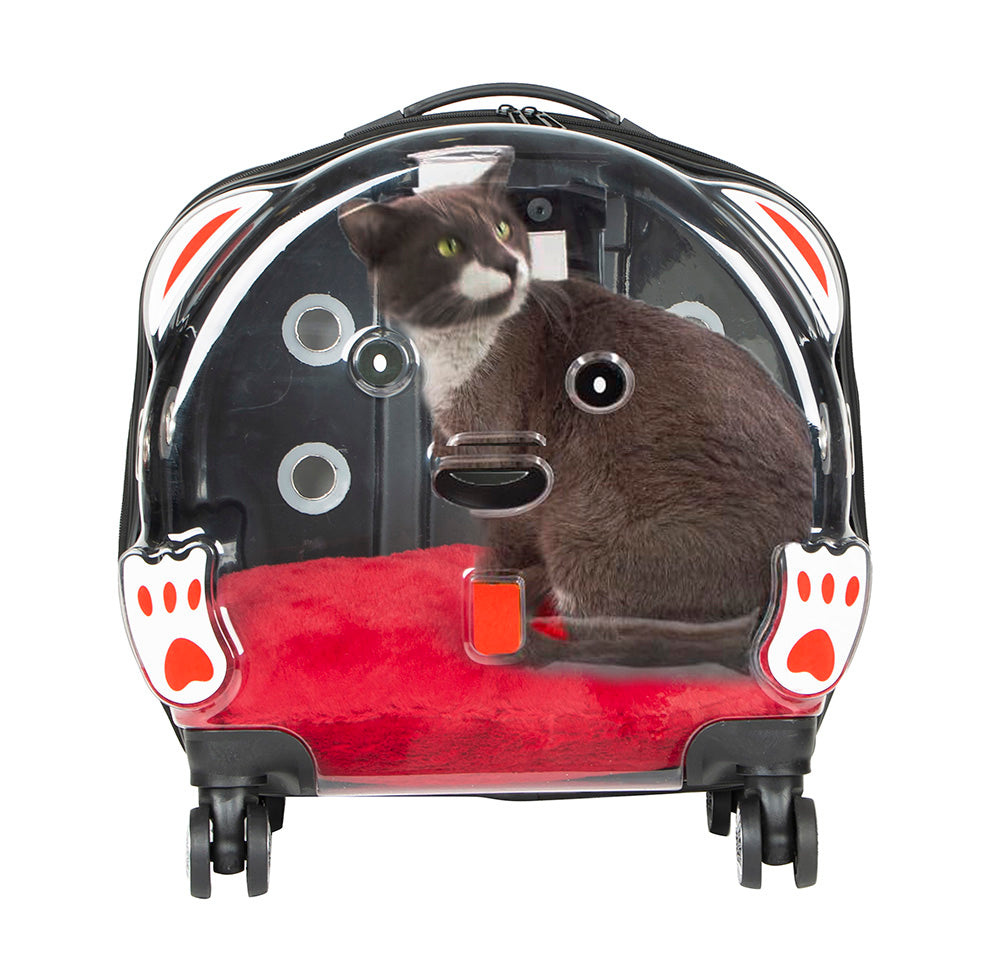 Ice Pet Trolley Suitcase