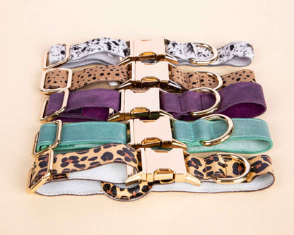 Scooby Leather Dog Collar With Air Tag Slot