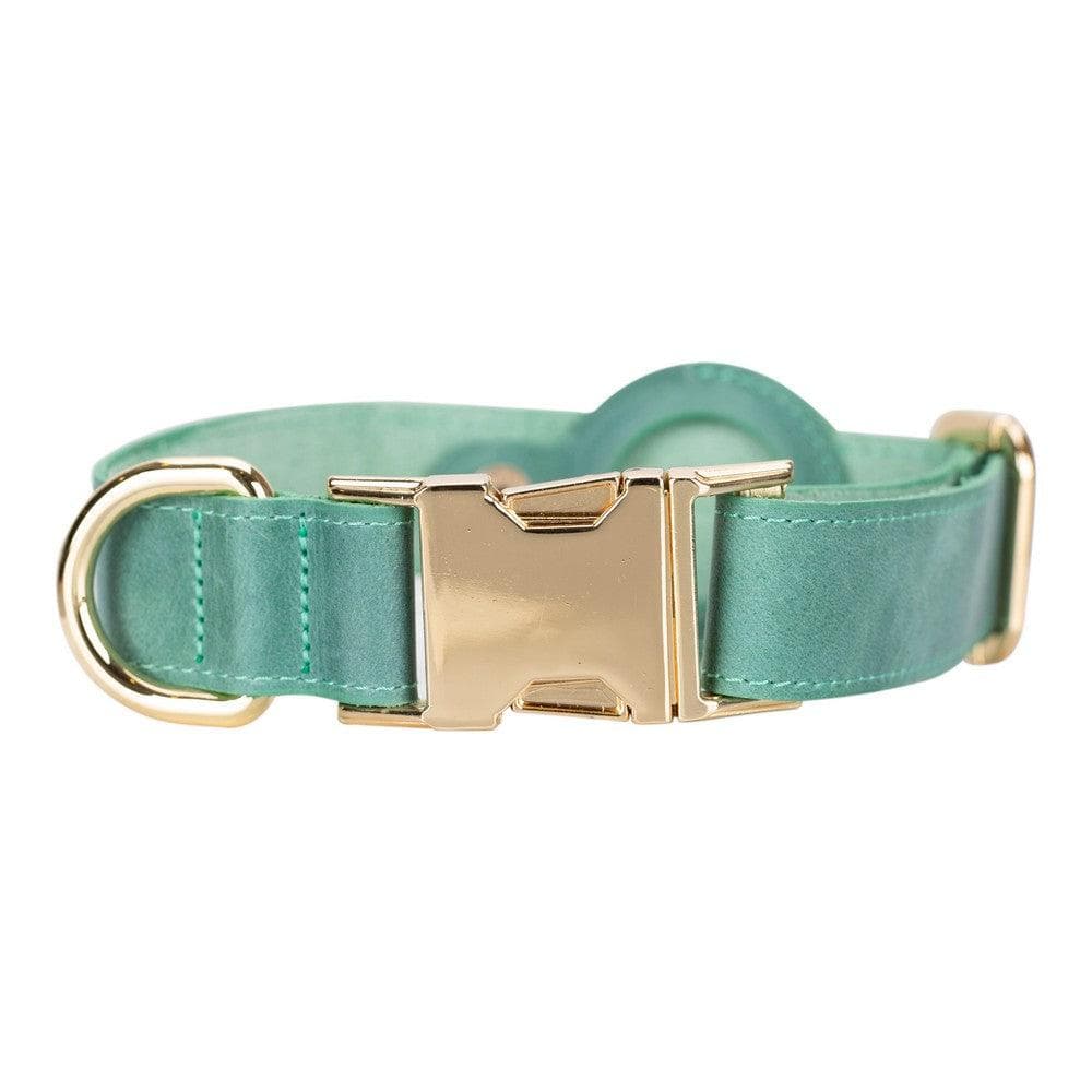 Scooby Leather Dog Collar With Air Tag Slot