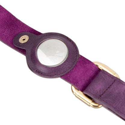 Scooby Leather Dog Collar With Air Tag Slot