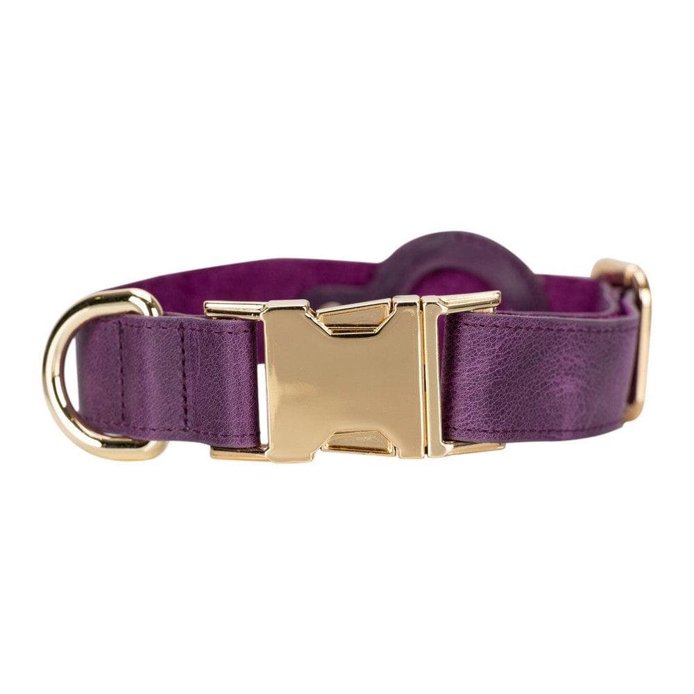 Scooby Leather Dog Collar With Air Tag Slot