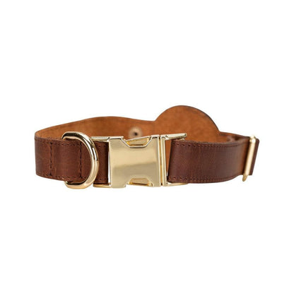 Scooby Leather Dog Collar With Air Tag Slot