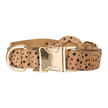 Scooby Leather Dog Collar With Air Tag Slot