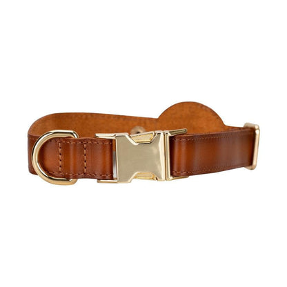 Scooby Leather Dog Collar With Air Tag Slot